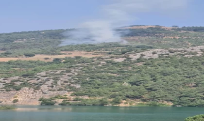 Adana’da orman yangını (2)