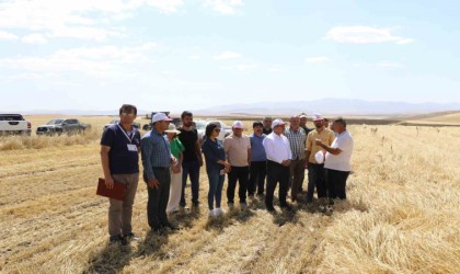 Ağrıda biçerdöver denetimleri sürüyor