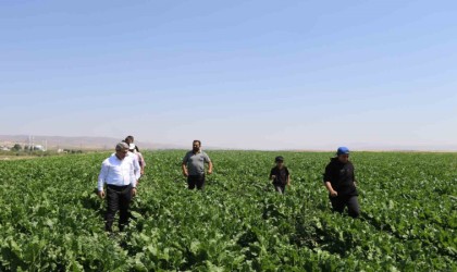 Ağrıda Tarım ve Orman Müdürü Enginin çiftçi ve veteriner hekim ziyaretleri