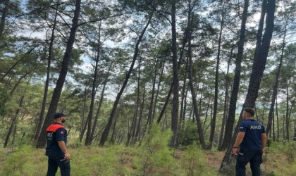 Antalyada 3 gündür haber alınamayan Alman kadın turist için ekipler seferber oldu