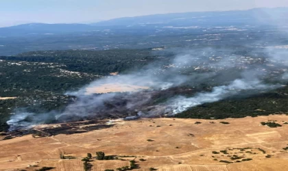 Antalya’da orman yangını (2)