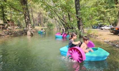 Aydında tatilcilerin yeni rotası mesire alanları oldu
