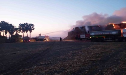 Balya yangını mısır tarlası sahiplerini korkuttu