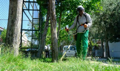Başkan Avcı: “Daha yeşil bir Altıeylül için çalışıyoruz”