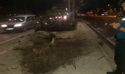 Başkan Ünal, proje ve hedeflerden bahsetti