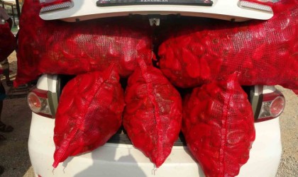 Biberin meşakkatli salça yolculuğu başladı