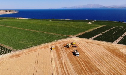 Bitliste 301 bin dekarlık alanda buğday hasadı başladı