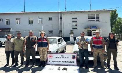 Bitlis’te kaçak kuş avcılığına 61 bin 879 TL ceza