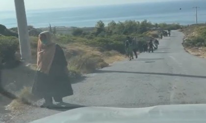 Botları batan göçmenler yüzerek kurtuldu