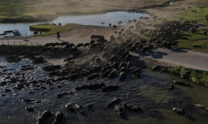 Bu güzellik kesin korunacak hassas alan ilan edildi