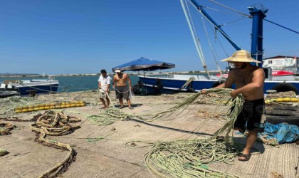 Bu sene denizde mezgit ve hamsi var