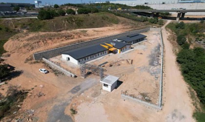 Burası sokak hayvanlarının rehabilitasyon merkezi olacak