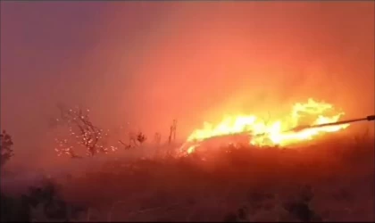 Bursa’da gece boyu süren orman yangını, 19 saatte kontrol altına alındı