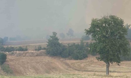 Bursada orman yangını