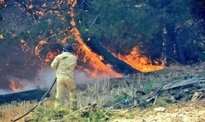 Çanakkale’de orman yangını (6)