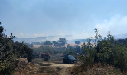 Çanakkalede tarım arazilerinin bulunduğu bölgede yangın