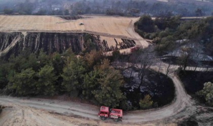 Çanakkalede yangının boyutu gün ağarınca ortaya çıktı