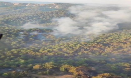 Çanakkaledeki orman yangını havadan görüntülendi