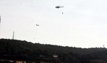 Çanakkale’deki orman yangınında 2’nci gün (3)