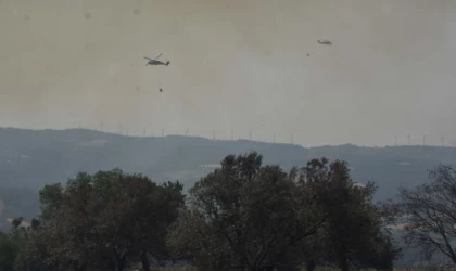 Çanakkale’deki orman yangınında 2’nci gün (5)