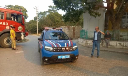 Çanakkale’deki orman yangınında 2’nci gün (9)