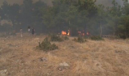 Çanakkaledeki orman yangınında can pazarı kameraya yansıdı
