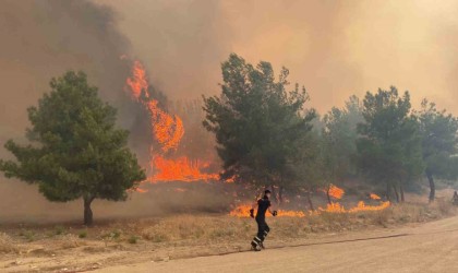 Çanakkaledeki orman yangınında köylüler hayvanlarını kurtarmaya çalışıyor