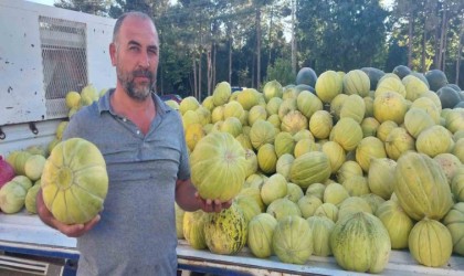 Çorumun meşhur 10 dilim kavunu tezgahlarda yerini aldı