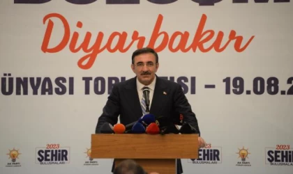Cumhurbaşkanı Yardımcısı Yılmaz: Hiçbir terör örgütünün gücü annelere yetmez (3)