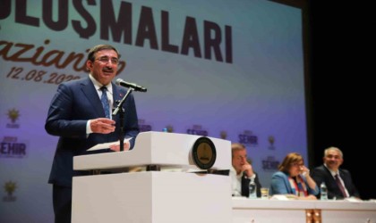 Cumhurbaşkanı Yardımcısı Yılmazdan depremzedelere müjde