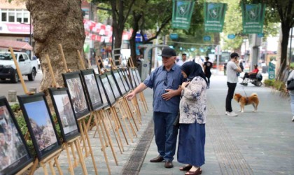 Depremin 24. yılına özel sergi