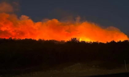 Diyarbakır’da orman yangını