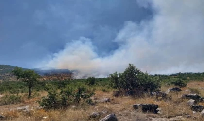 Diyarbakır’da örtü yangını