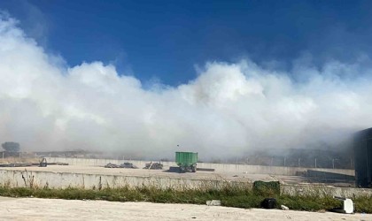 Edirnede anız yangını söndürüldü