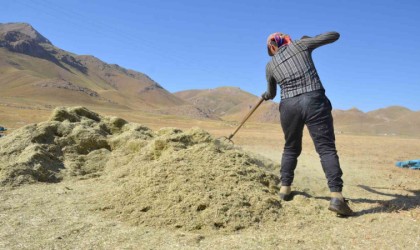 Faraşin Yaylasında besicilerin zorlu kış hazırlıkları devam ediyor