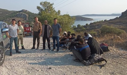 Foçada 48 düzensiz göçmen yakalandı