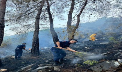 Gazipaşadaki orman yangını havadan ve karadan yapılan müdahale ile söndürüldü
