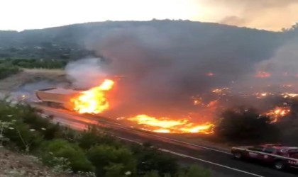 Gördeste kamyonda çıkan yangın ormana sıçradı