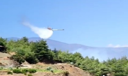 Hatayda ikinci orman yangını