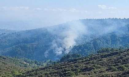 Hatayda orman yangını