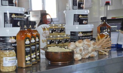 Hobi olarak başladılar: Taşköprü sarımsağından ürettikleri yıllanmış ekstratın faydaları saymakla bitmiyor