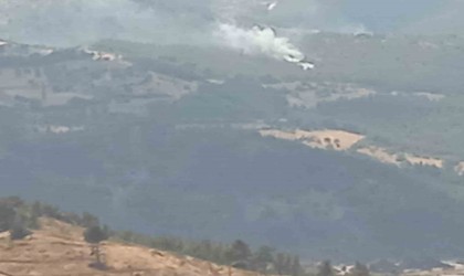 İzmirde 2 orman yangını yaklaşık 30 dakikada kontrol altına alındı