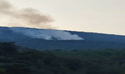 İzmir’de düşen yıldırım, ormanı yaktı