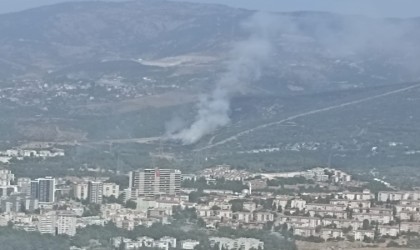 İzmirde ikinci orman yangını kontrol altında