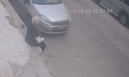 İzmirde korkunç olay: Farenin ısırdığı kadın hastanelik oldu