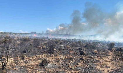 İzmirde makilik alanda yangın