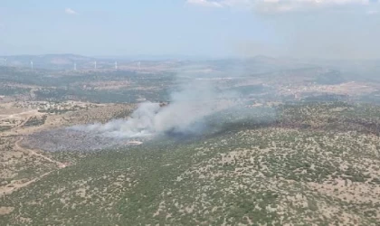 İzmir’de makilik yangını