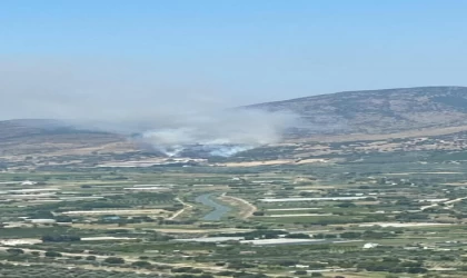 İzmir’de orman yangını