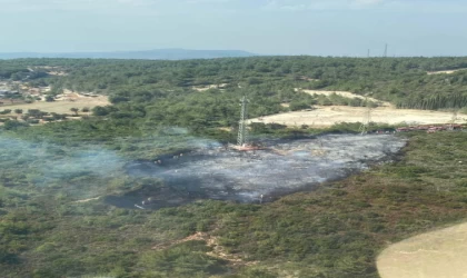 İzmir’de orman yangını