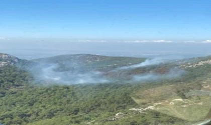 İzmir’de orman yangını